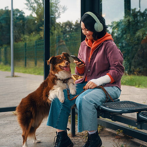 Junge Frau mit Hund sitzt an der Bushaltestelle und schaut auf ihr Handy.